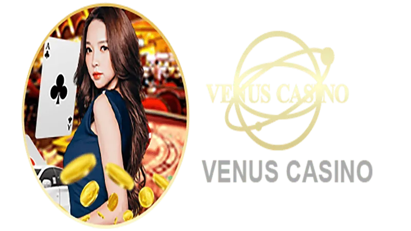H2 BET Informações básicas sobre o saguão do cassino Venus